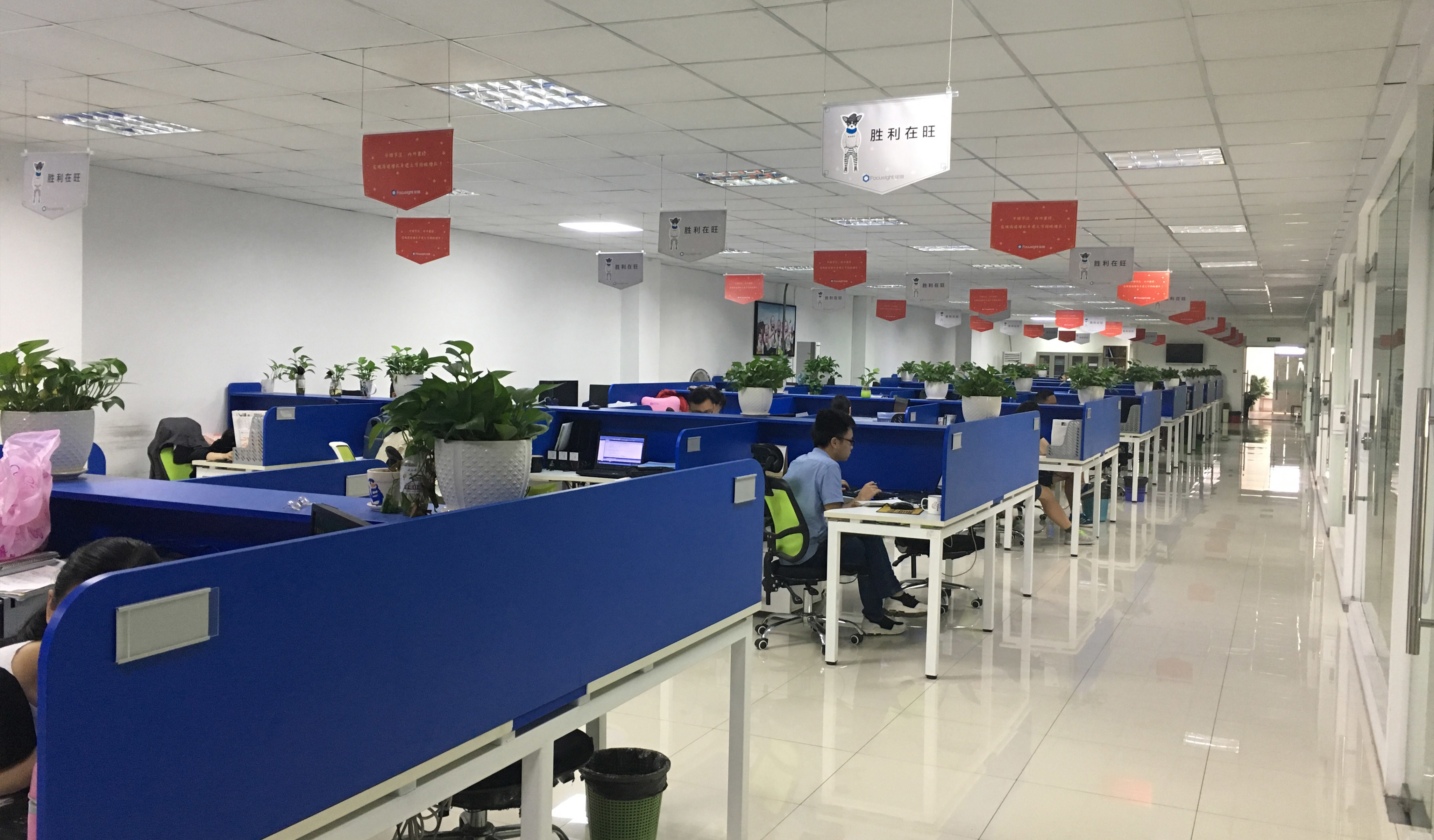 চীন Focusight Technology Co.,Ltd সংস্থা প্রোফাইল
